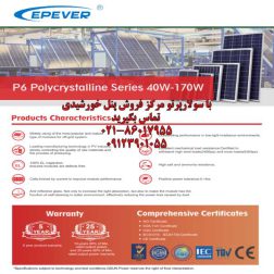 پنل‌های خورشیدی پلی‌کریستالین سری P6-36 (40W-170W)